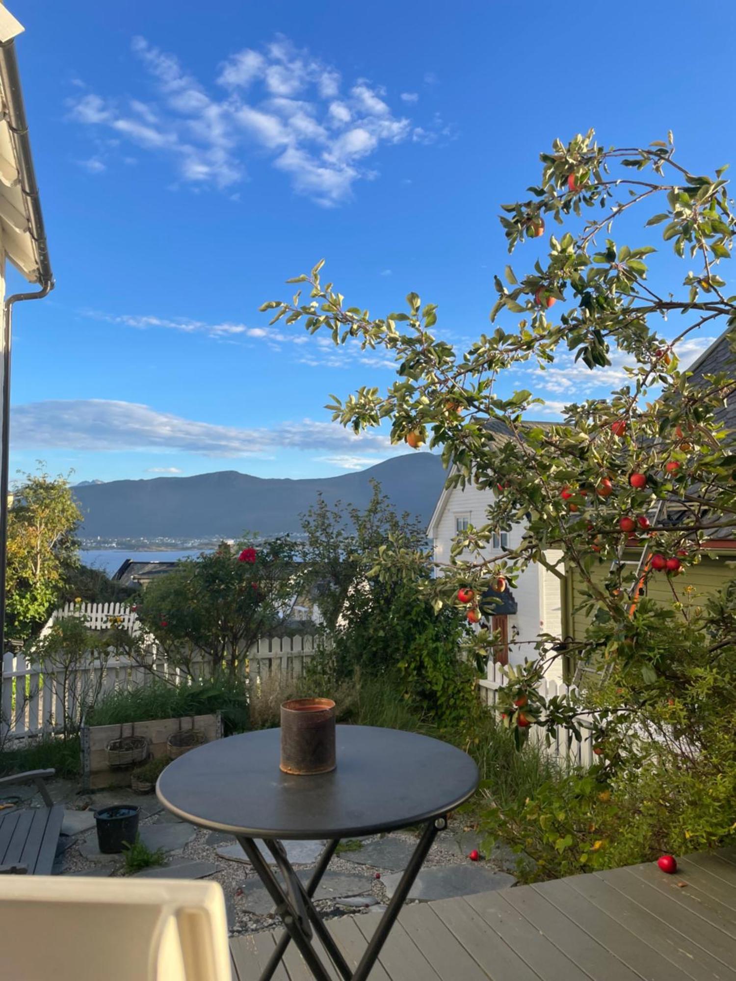 Koselig Leilighet I Sentrum Ålesund Kültér fotó